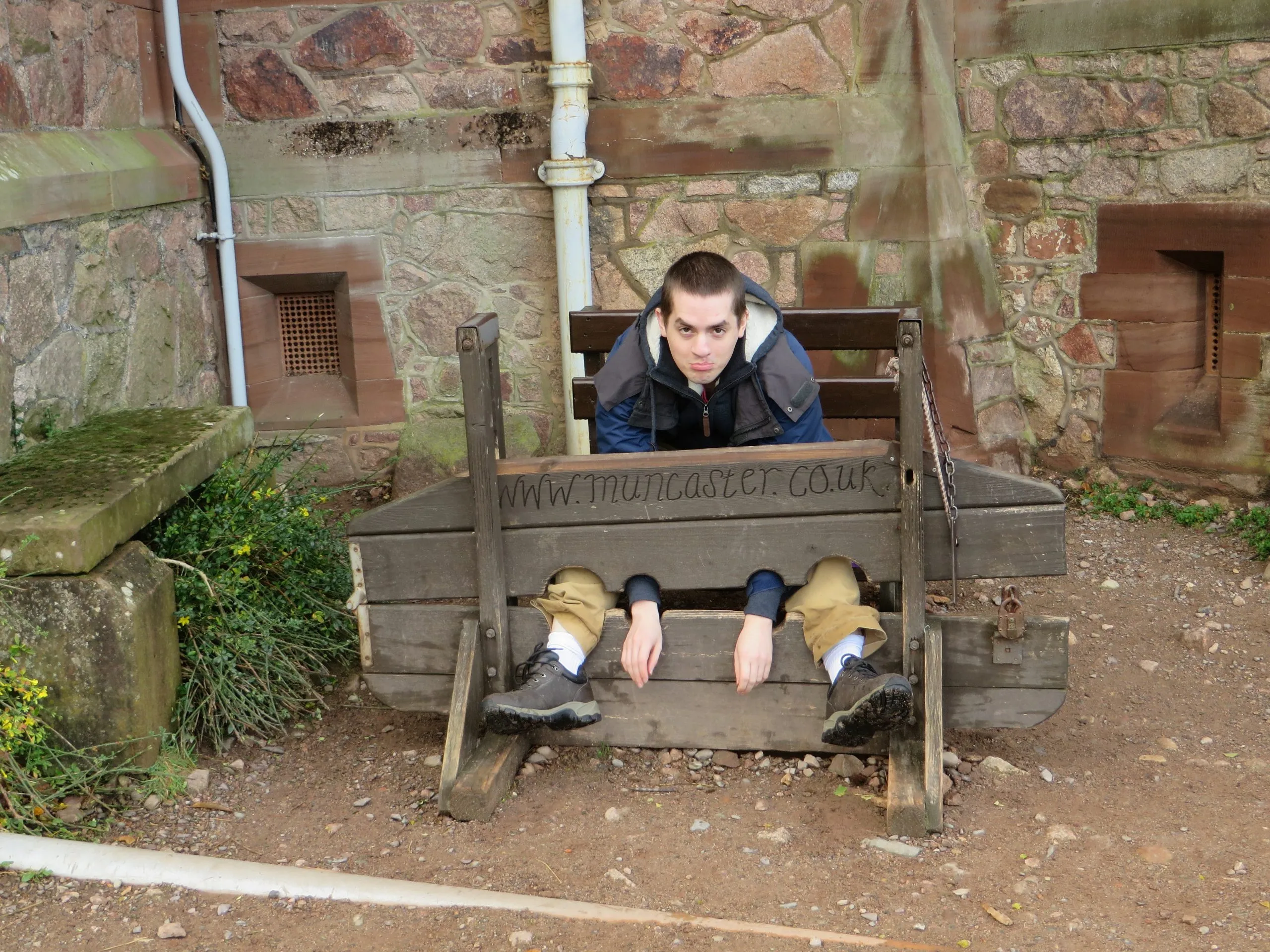 Milo - one of the family 2